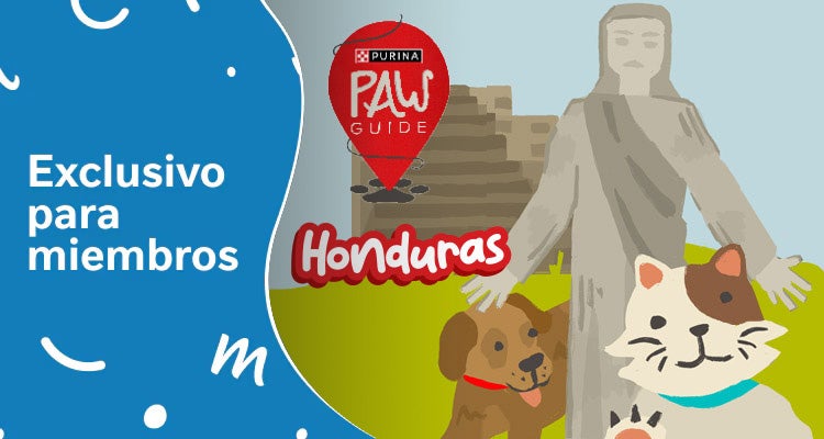 Purina Paw Guide: Honduras