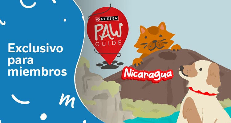 thumb-PURINA-Paw-Guide-Nicaragua